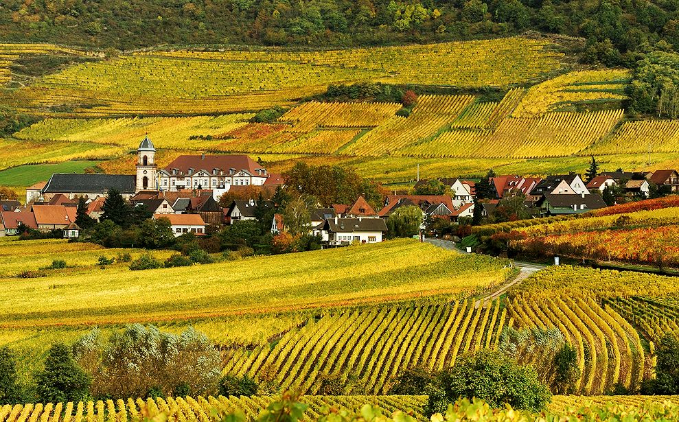 Dordogne Wine Tours of the Bergerac Vineyards | Les Eyzies de Tayac